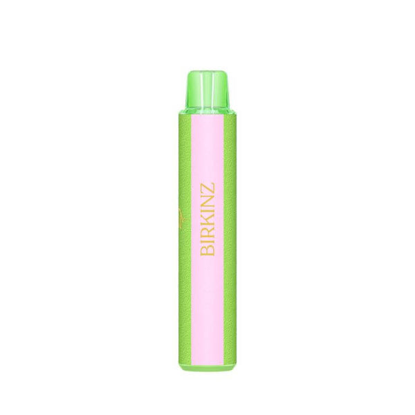 Birkinz Disposable Vape - 3000 Puffs